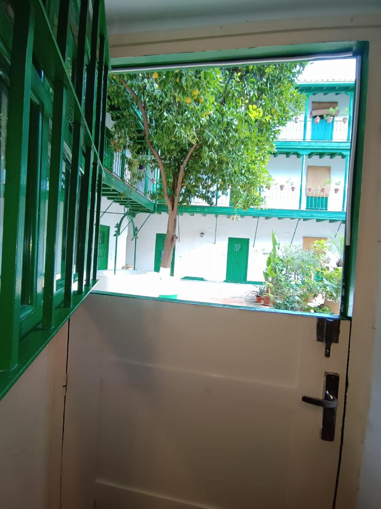 La Puerta Verde De Las Setas De Sevilla Zewnętrze zdjęcie